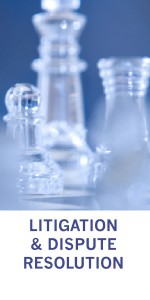 Litigation and Dispute Resolution at Culhane Meadows